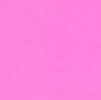 Ibiza Custom Posing Bikini - The Bikini Biz